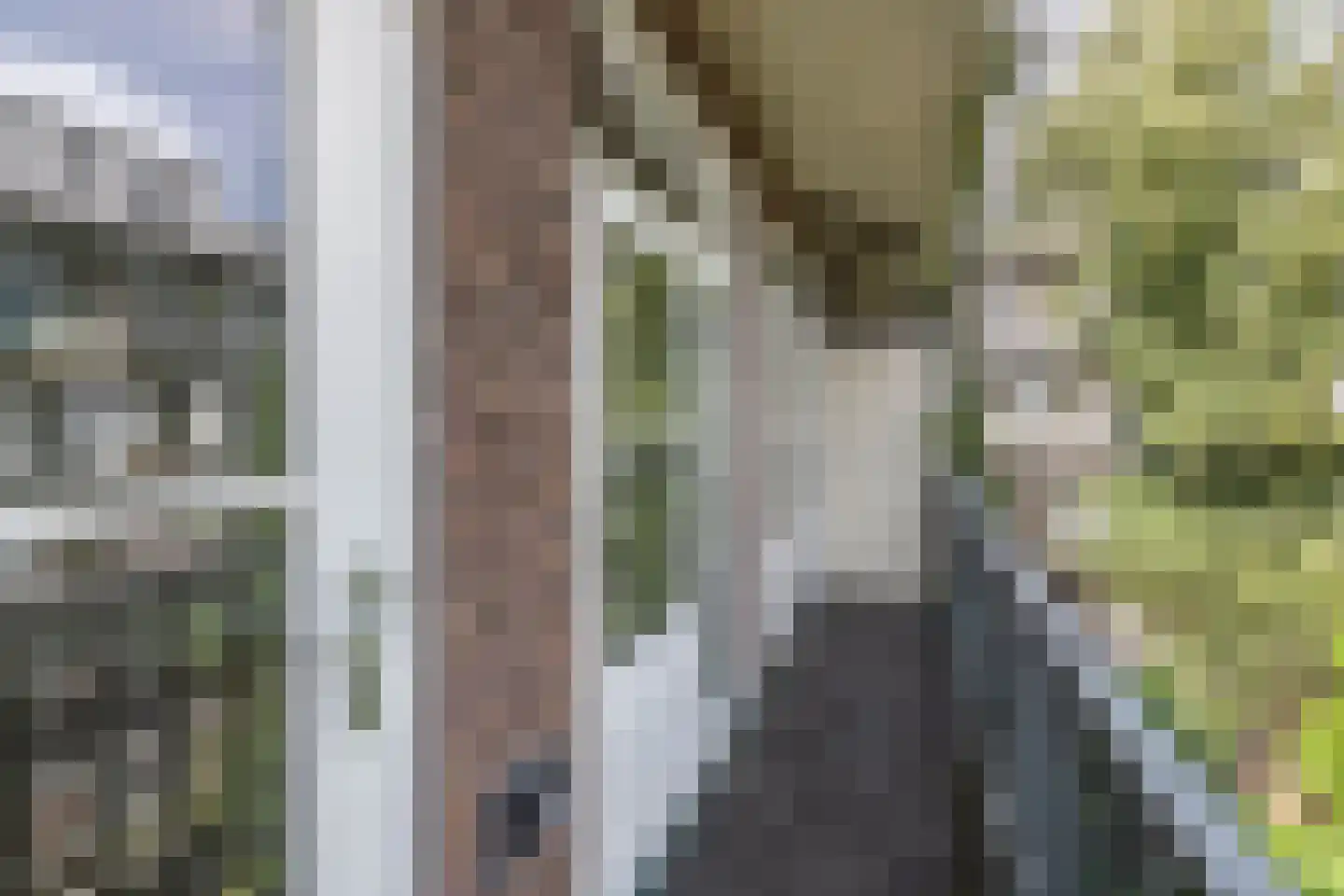 Woestduinstraat 99 2 Amsterdam thumbnail 26