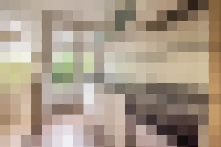 Woestduinstraat 99 H Amsterdam thumbnail 11