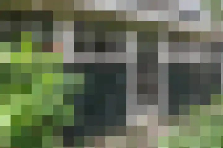 Woestduinstraat 99 H Amsterdam thumbnail 13