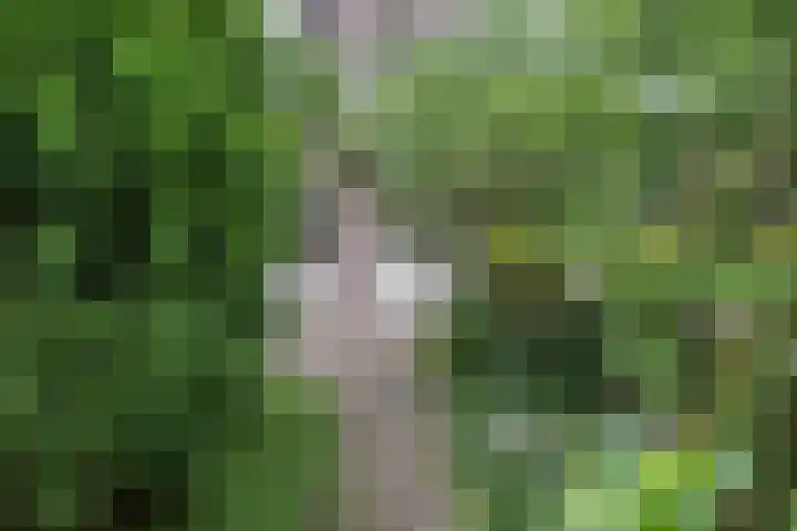 Woestduinstraat 99 H Amsterdam thumbnail 14
