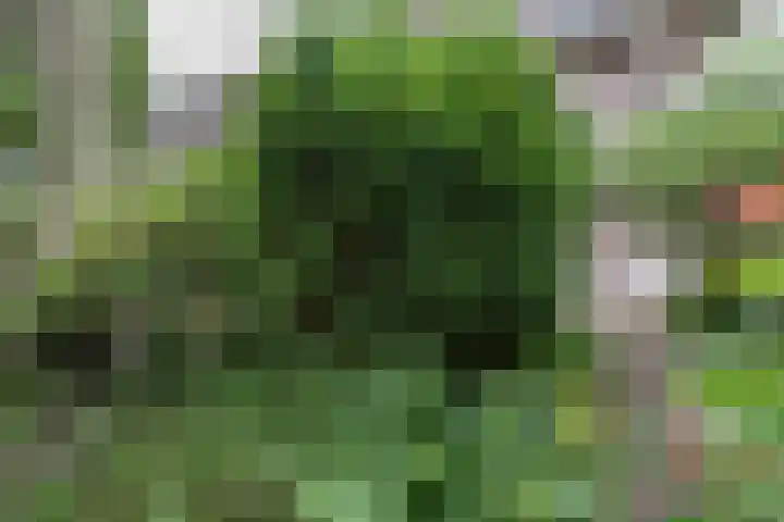 Woestduinstraat 99 H Amsterdam thumbnail 15