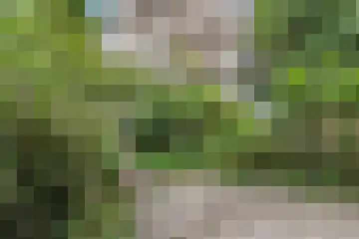 Woestduinstraat 99 H Amsterdam thumbnail 16