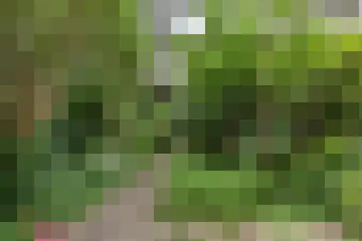 Woestduinstraat 99 H Amsterdam thumbnail 17