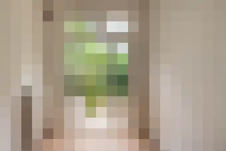 Woestduinstraat 99 H Amsterdam thumbnail 22