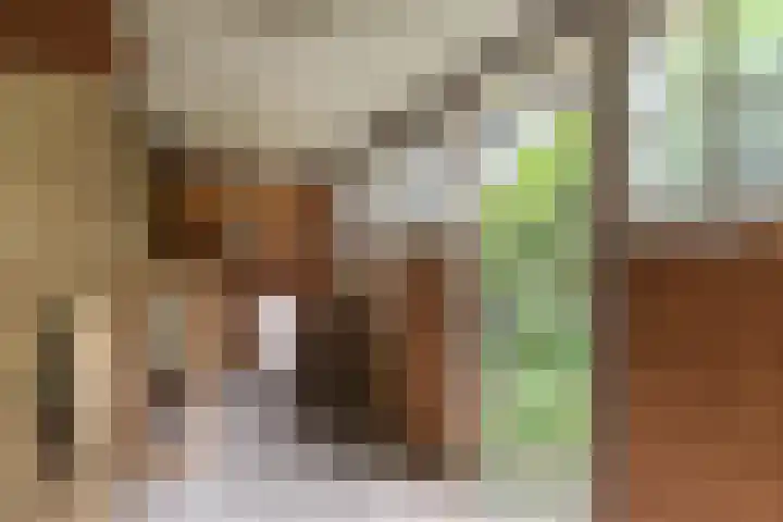 Woestduinstraat 99 H Amsterdam thumbnail 24