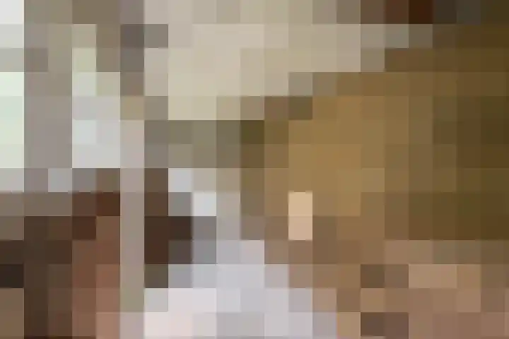 Woestduinstraat 99 H Amsterdam thumbnail 25