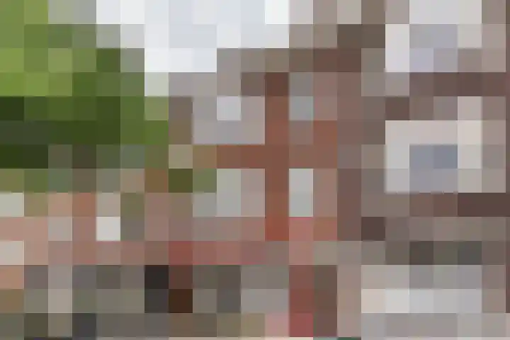 Woestduinstraat 99 H Amsterdam thumbnail 27