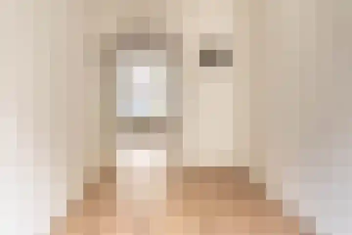Woestduinstraat 99 H Amsterdam thumbnail 8
