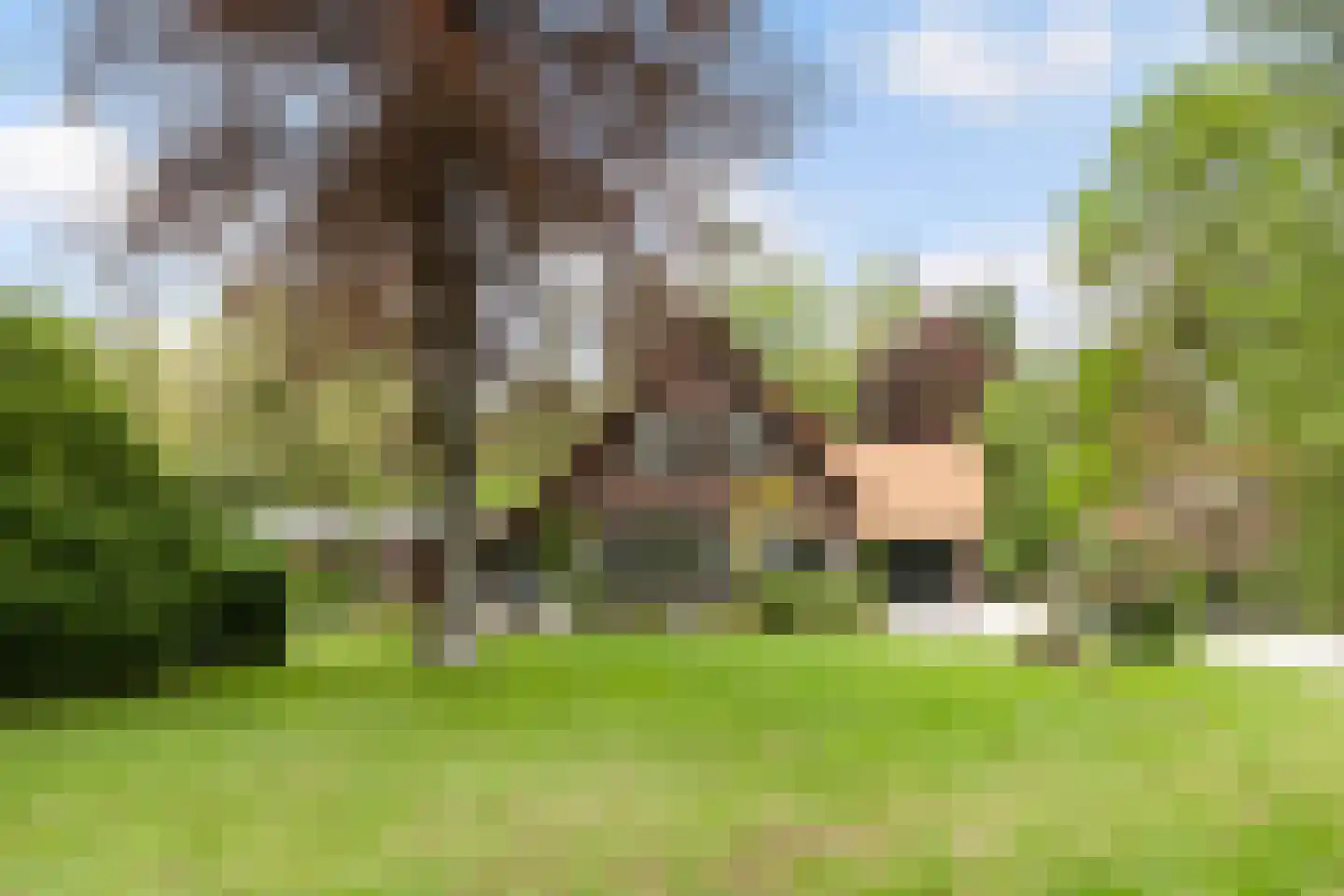Woeste Hoefweg 27 Hoenderloo