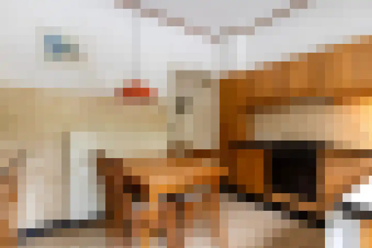 Woeste Hoefweg 27 Hoenderloo thumbnail 17