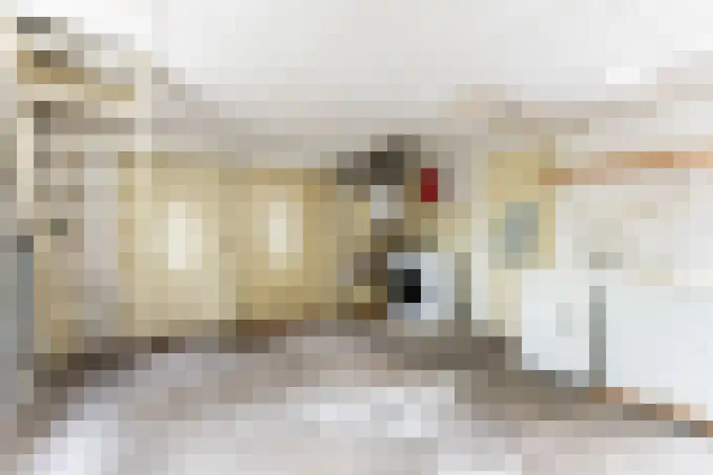 Woeste Hoefweg 27 Hoenderloo thumbnail 21