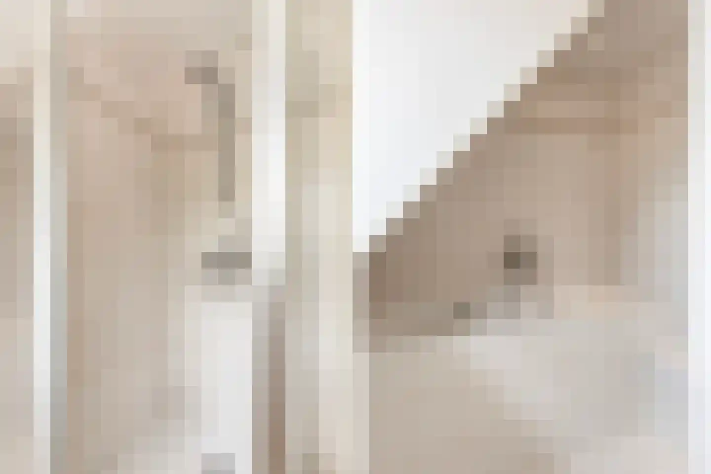 Woeste Hoefweg 27 Hoenderloo thumbnail 28