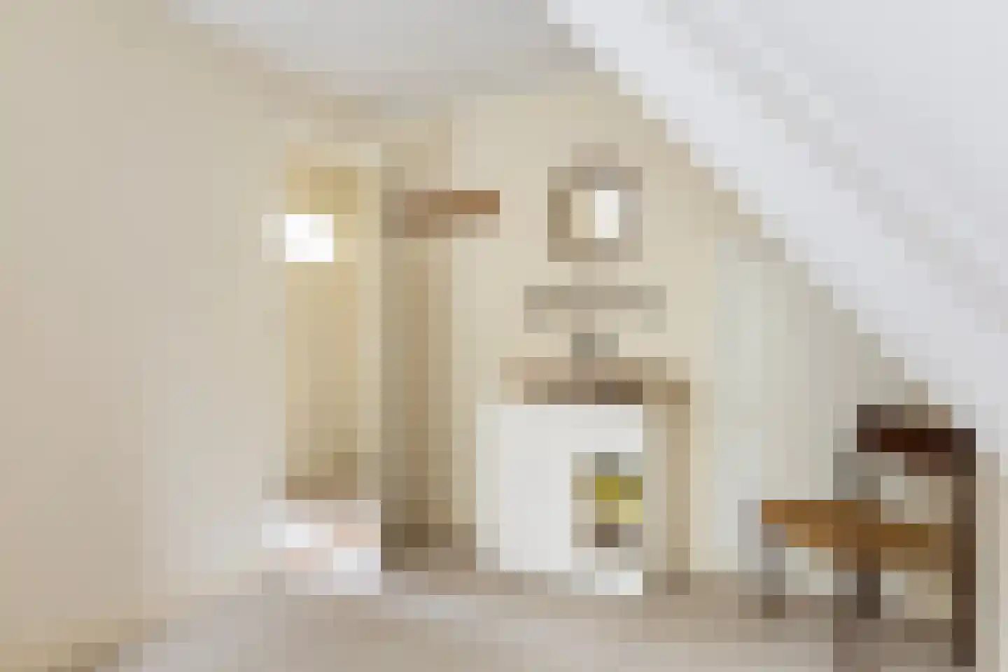 Woeste Hoefweg 27 Hoenderloo thumbnail 32