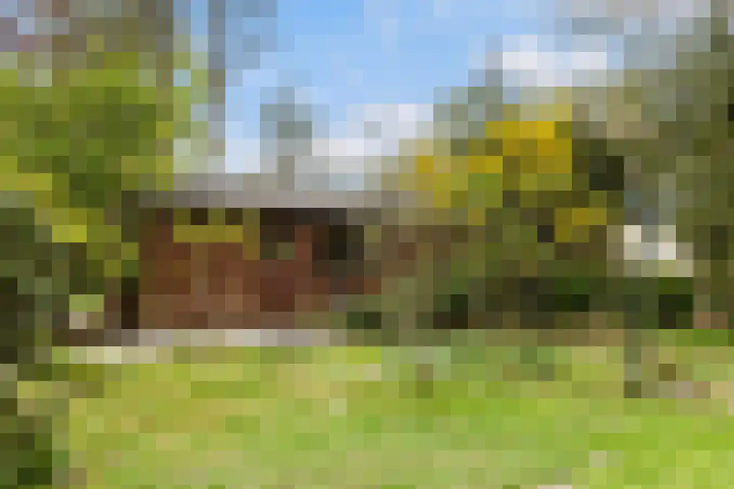 Woeste Hoefweg 27 Hoenderloo thumbnail 36
