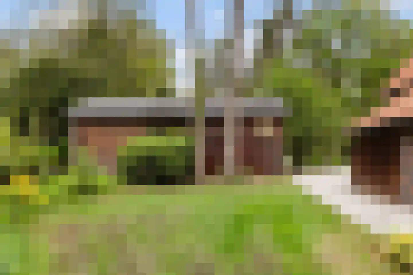 Woeste Hoefweg 27 Hoenderloo thumbnail 37