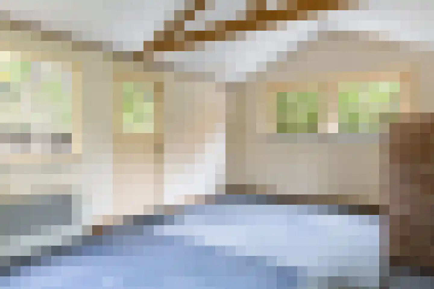 Woeste Hoefweg 27 Hoenderloo thumbnail 38