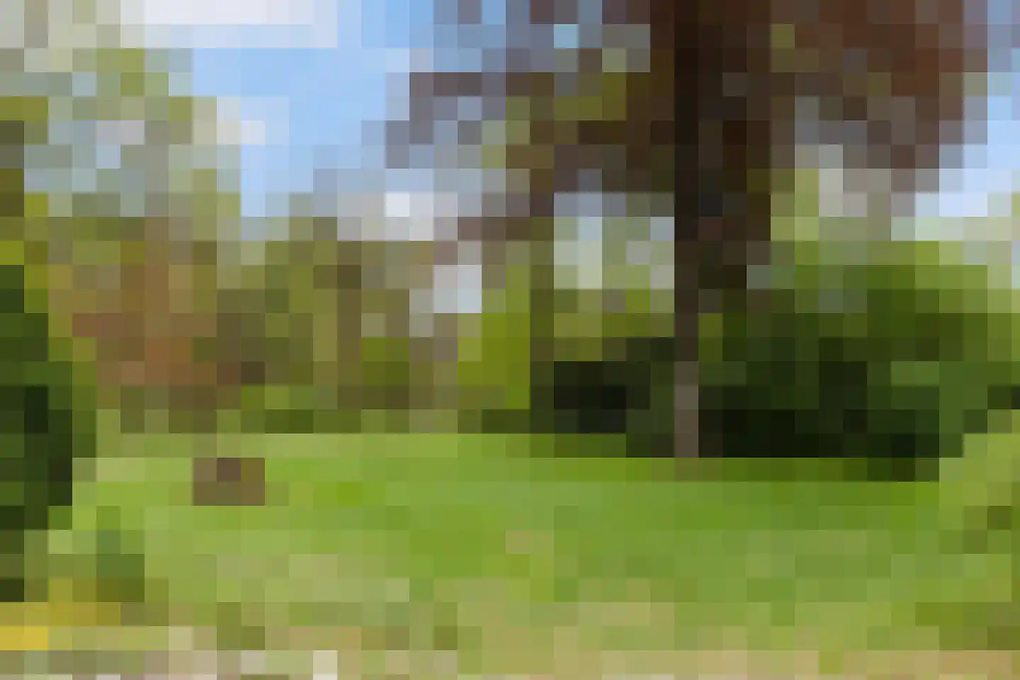 Woeste Hoefweg 27 Hoenderloo thumbnail 42