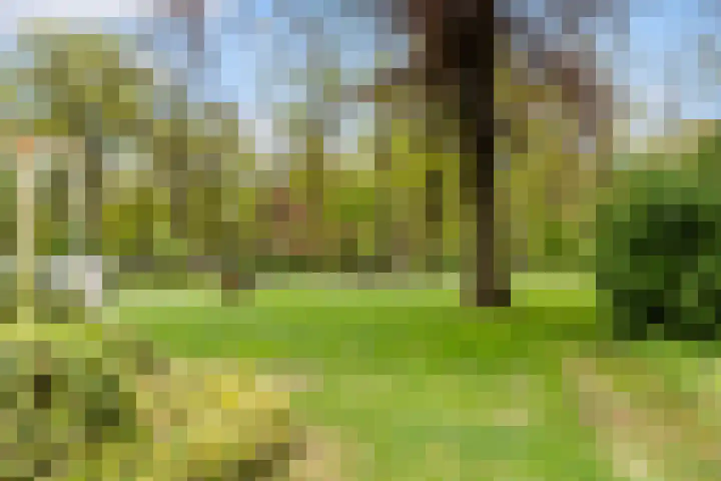 Woeste Hoefweg 27 Hoenderloo thumbnail 44
