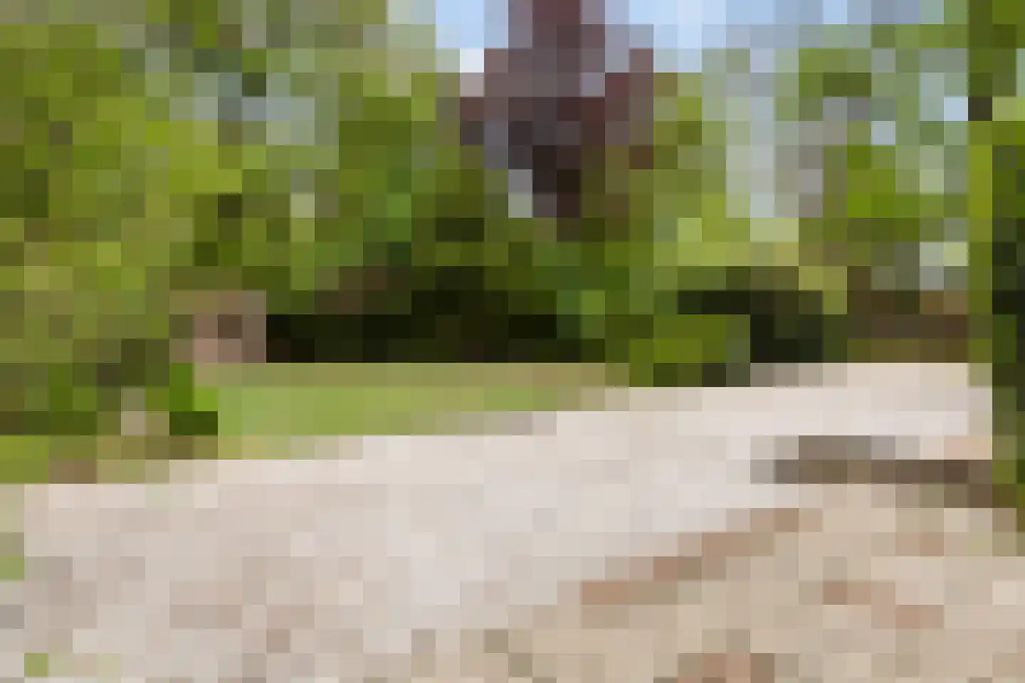 Woeste Hoefweg 27 Hoenderloo thumbnail 45