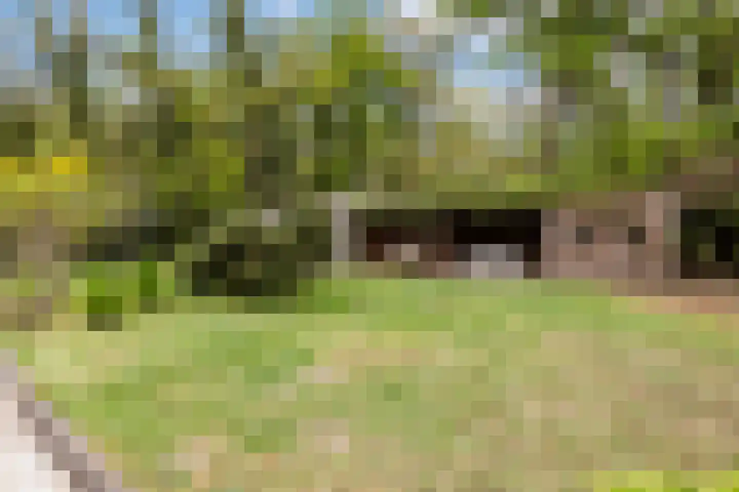 Woeste Hoefweg 27 Hoenderloo thumbnail 46