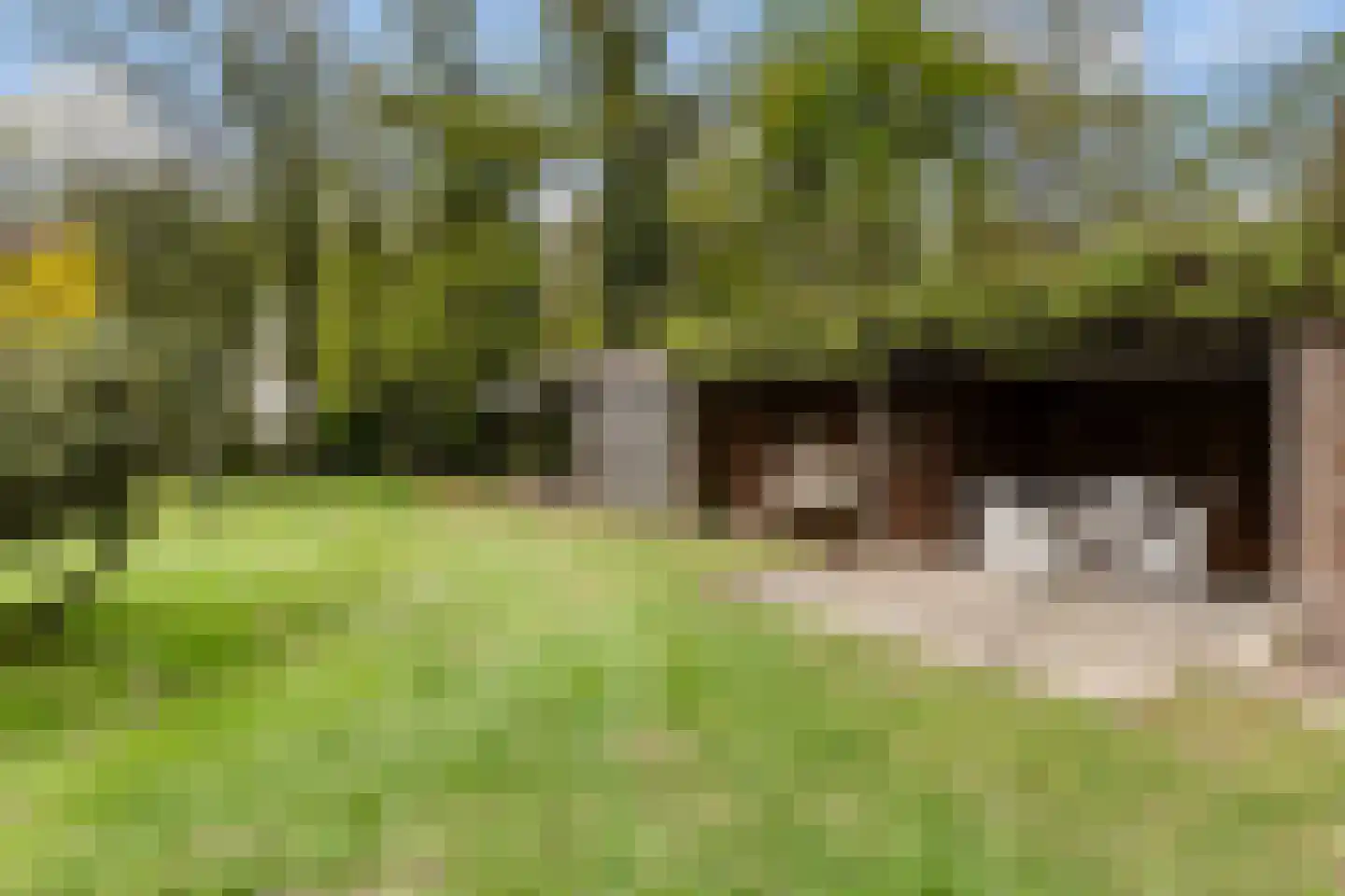 Woeste Hoefweg 27 Hoenderloo thumbnail 47