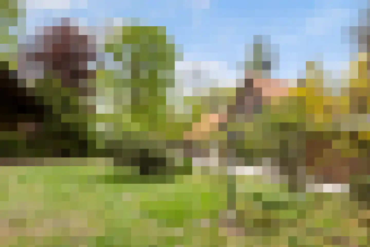 Woeste Hoefweg 27 Hoenderloo thumbnail 48