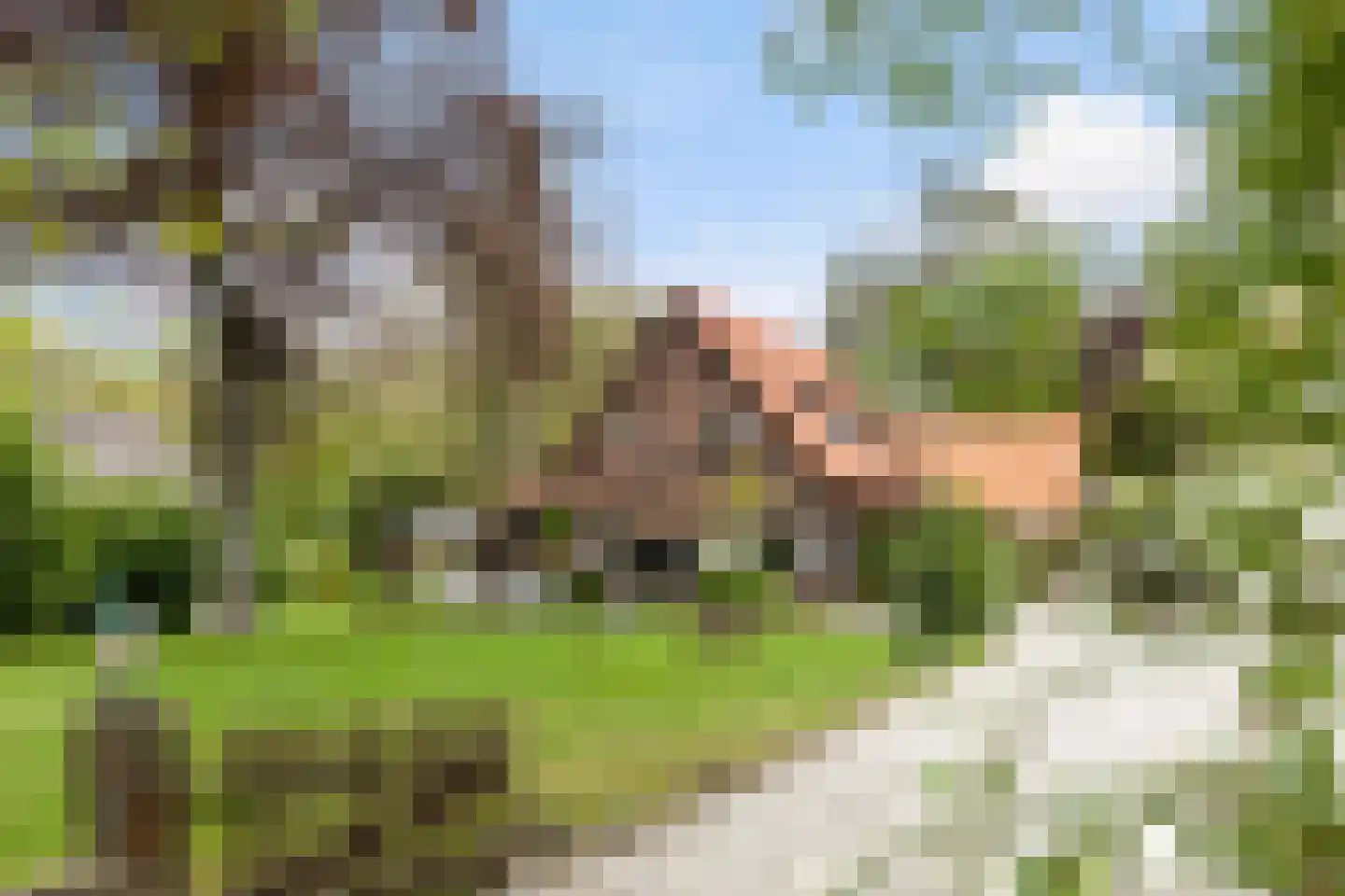 Woeste Hoefweg 27 Hoenderloo thumbnail 53