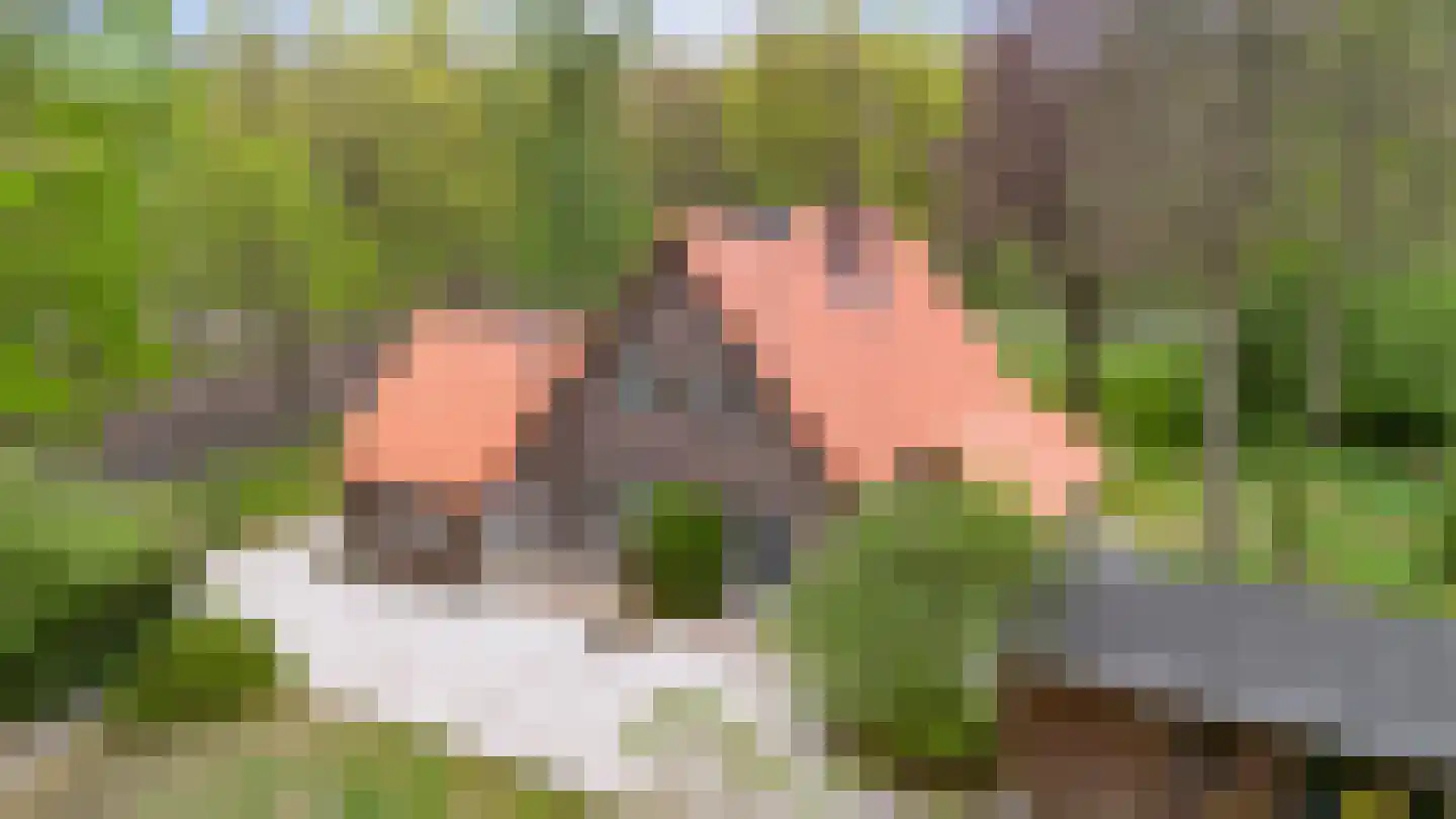 Woeste Hoefweg 27 Hoenderloo thumbnail 55