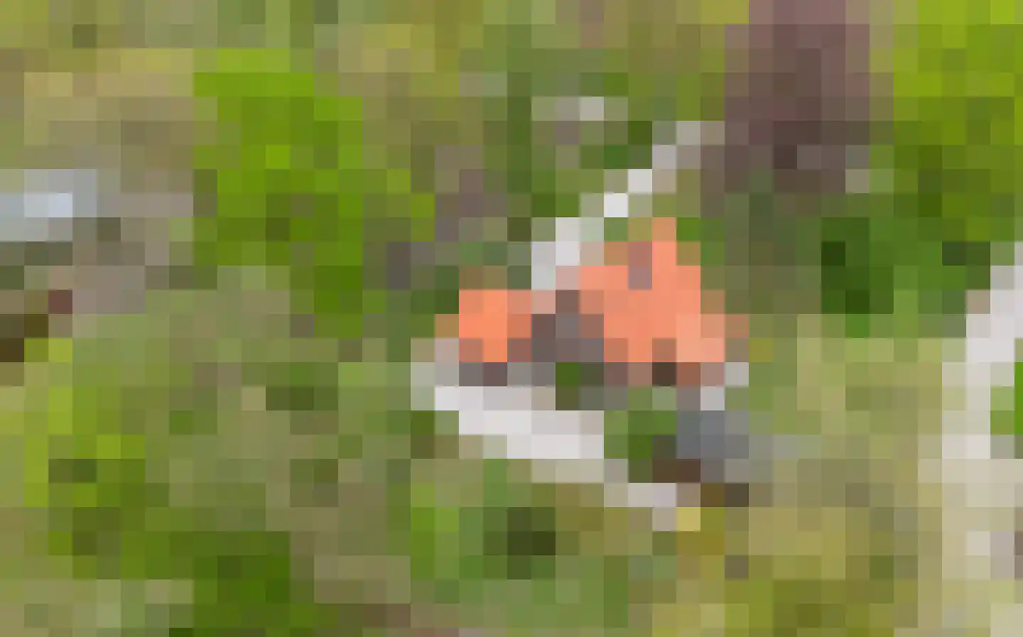 Woeste Hoefweg 27 Hoenderloo thumbnail 57