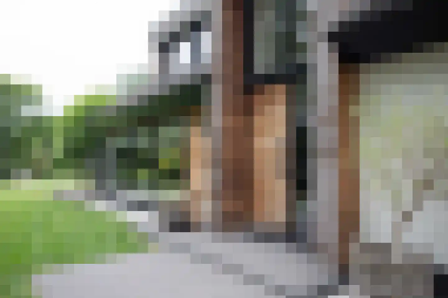 Woestendijk 4 Wierden thumbnail 10