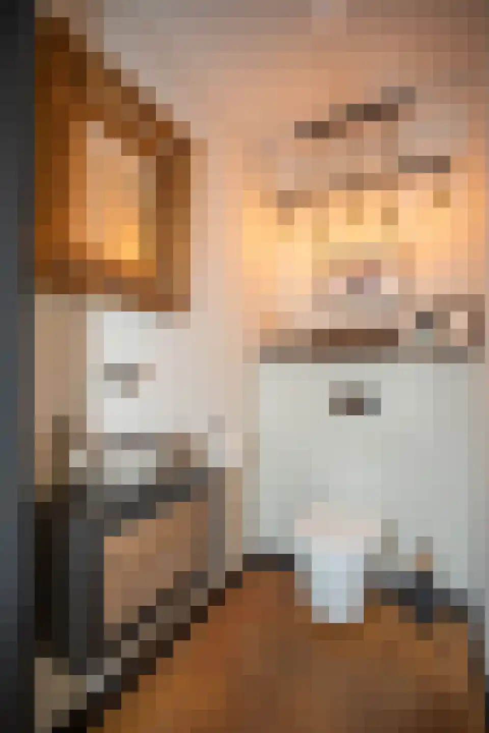 Woestendijk 4 Wierden thumbnail 17