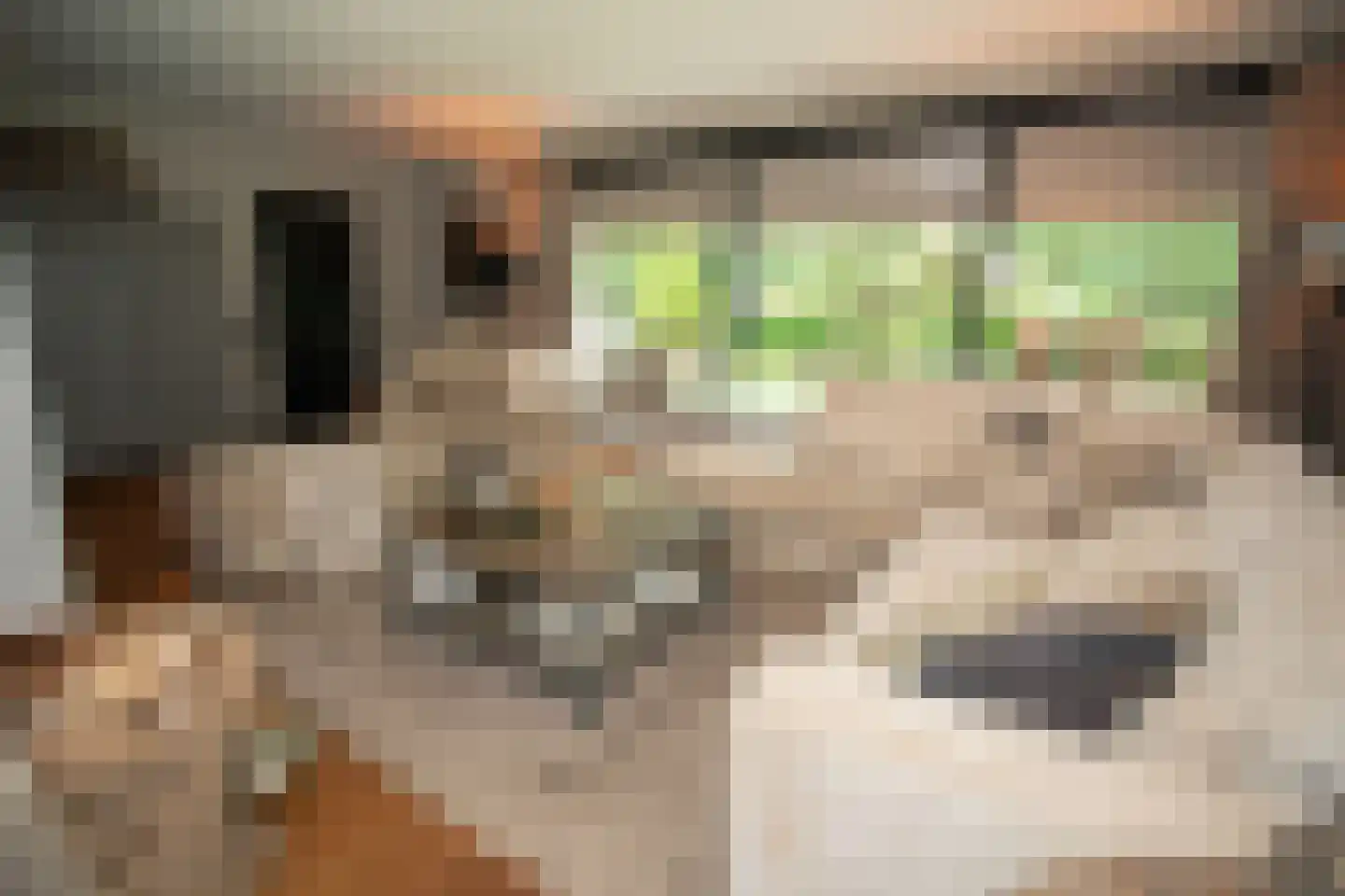 Woestendijk 4 Wierden thumbnail 18