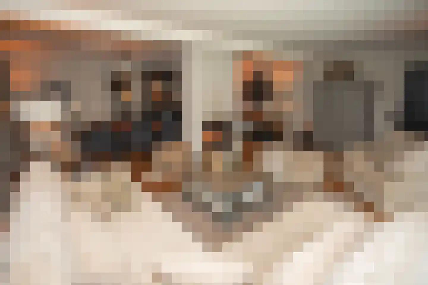 Woestendijk 4 Wierden thumbnail 19