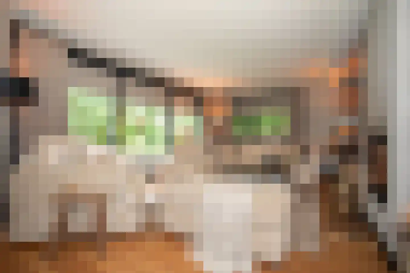 Woestendijk 4 Wierden thumbnail 20