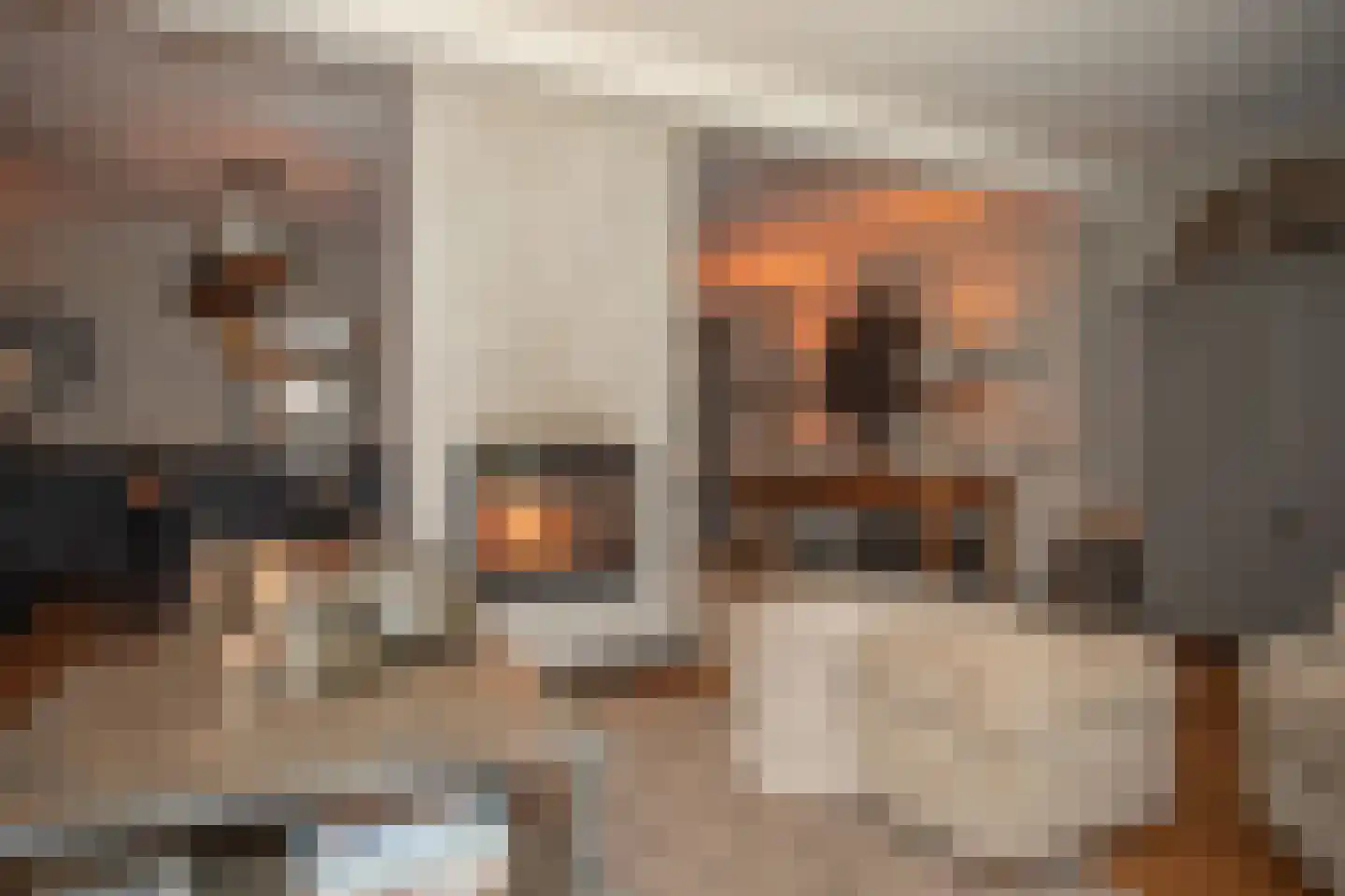 Woestendijk 4 Wierden thumbnail 21