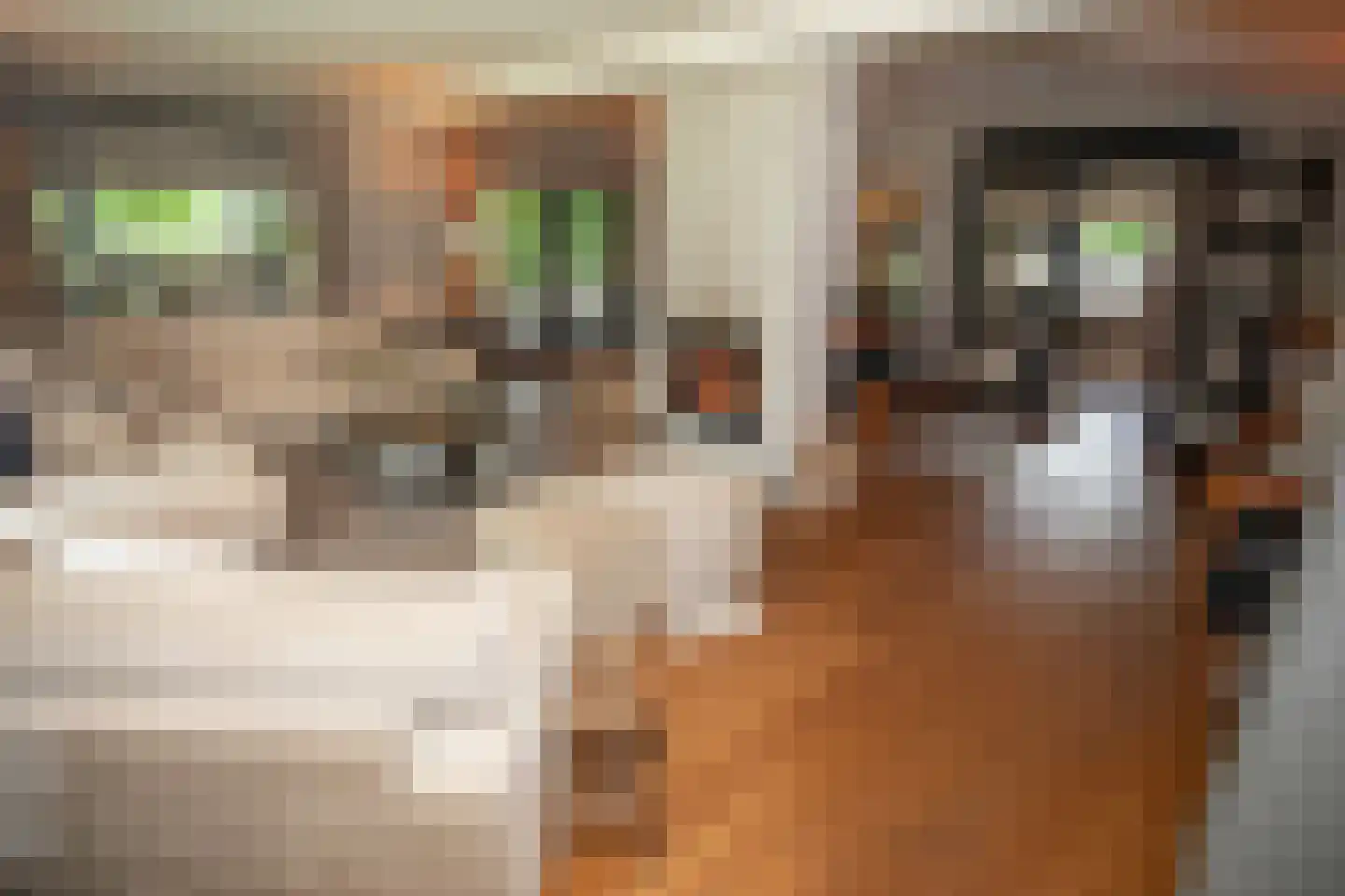 Woestendijk 4 Wierden thumbnail 22