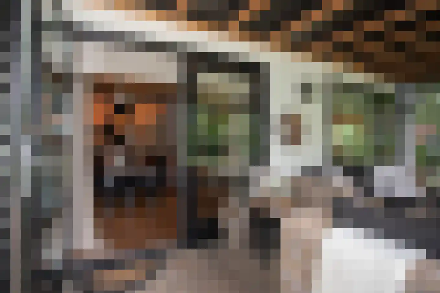 Woestendijk 4 Wierden thumbnail 24