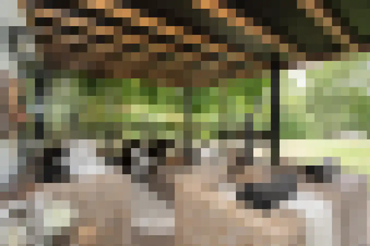 Woestendijk 4 Wierden thumbnail 25