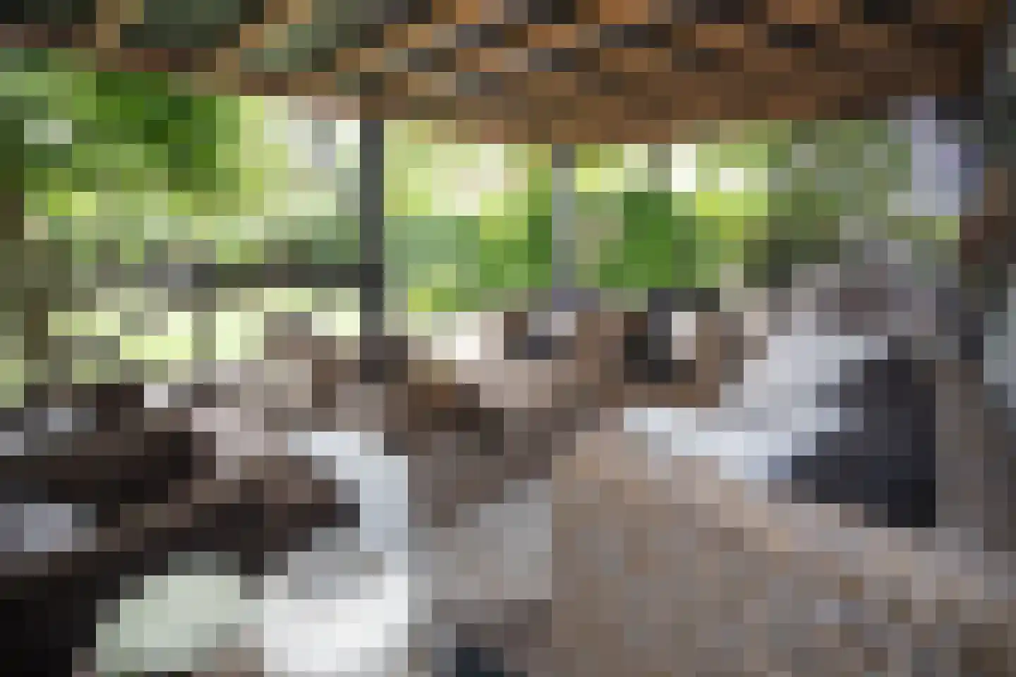 Woestendijk 4 Wierden thumbnail 26