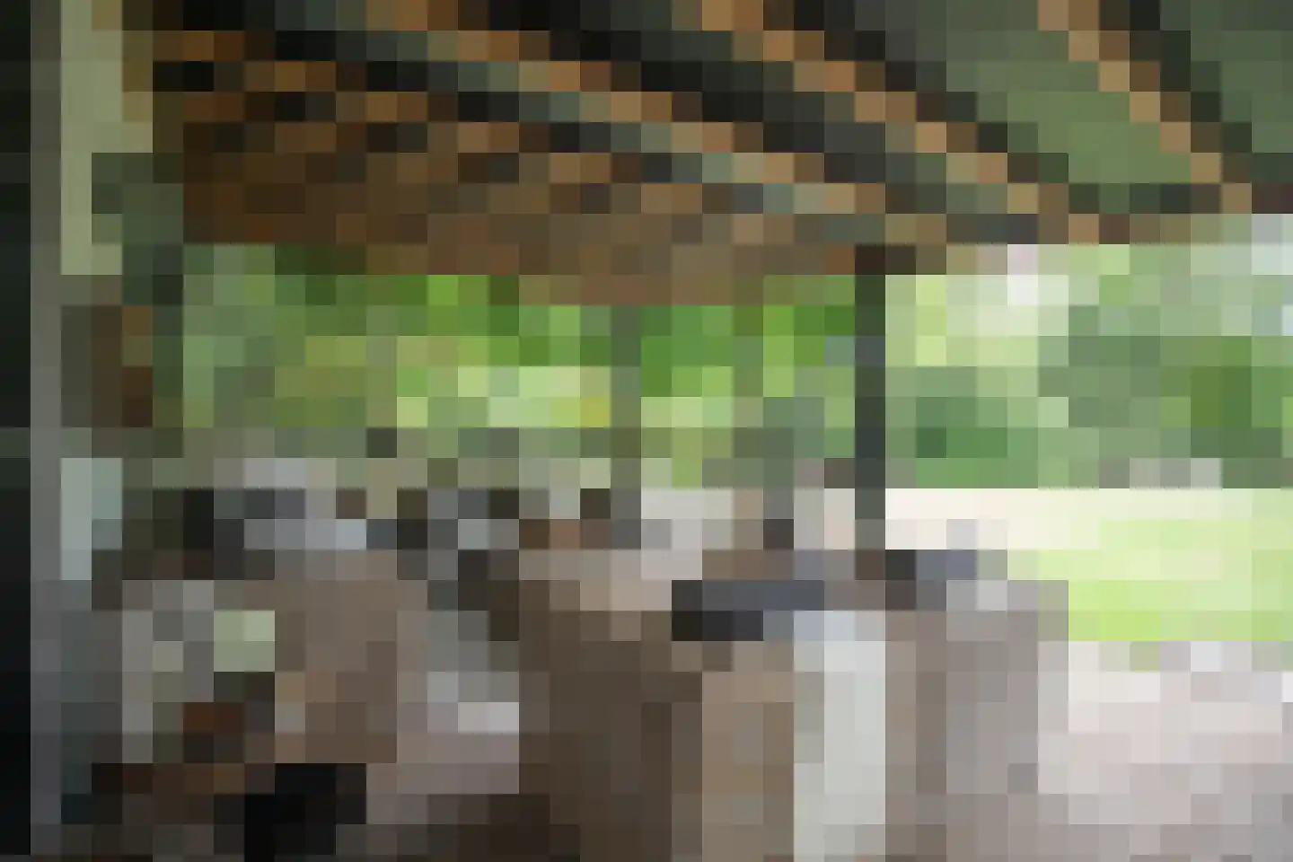 Woestendijk 4 Wierden thumbnail 27
