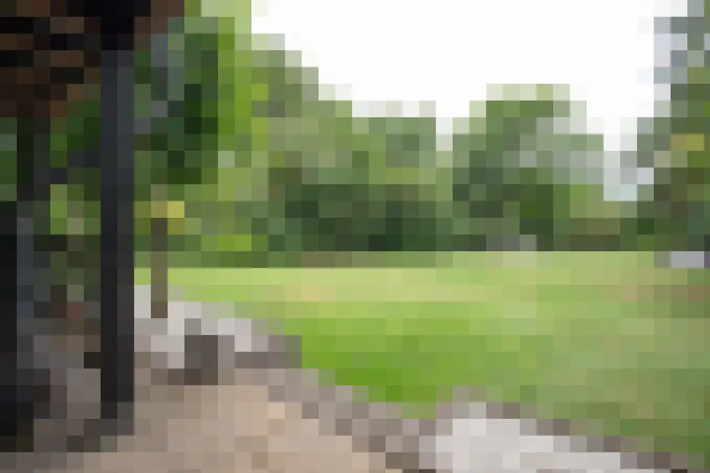 Woestendijk 4 Wierden thumbnail 28