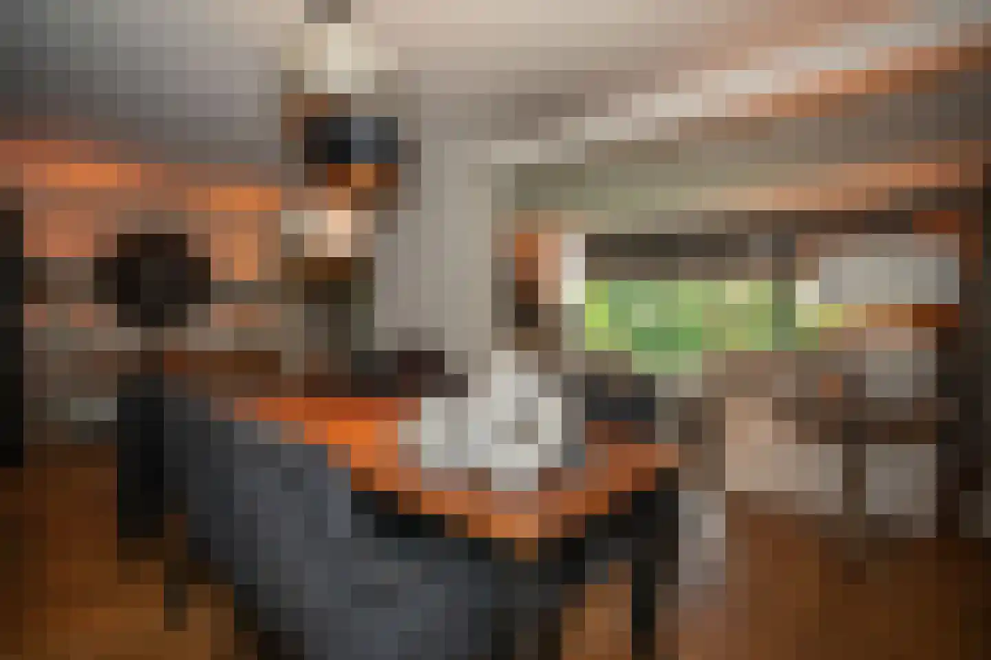 Woestendijk 4 Wierden thumbnail 29