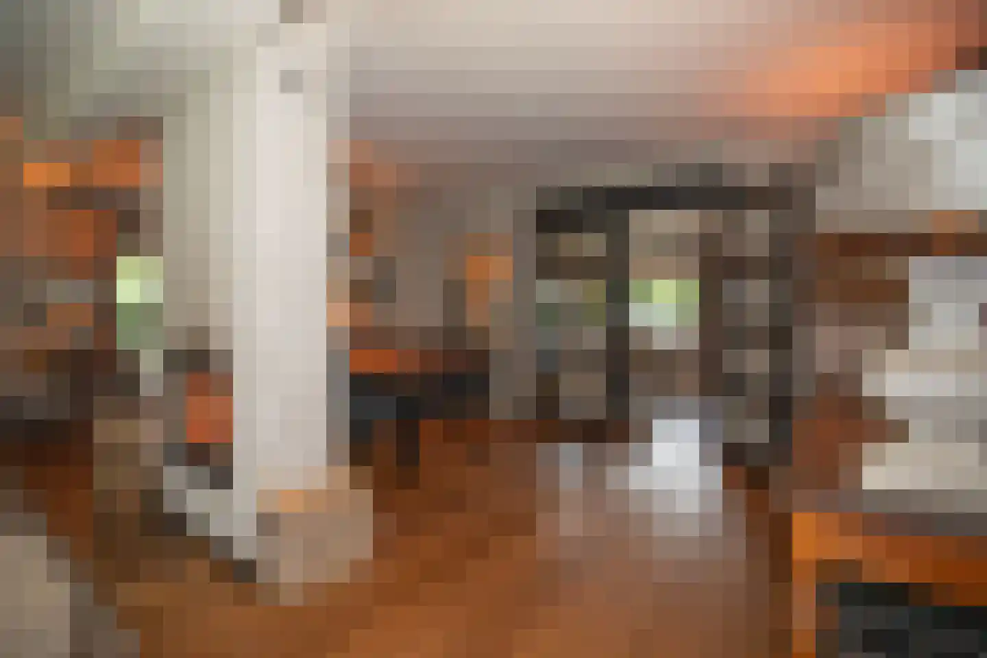 Woestendijk 4 Wierden thumbnail 30
