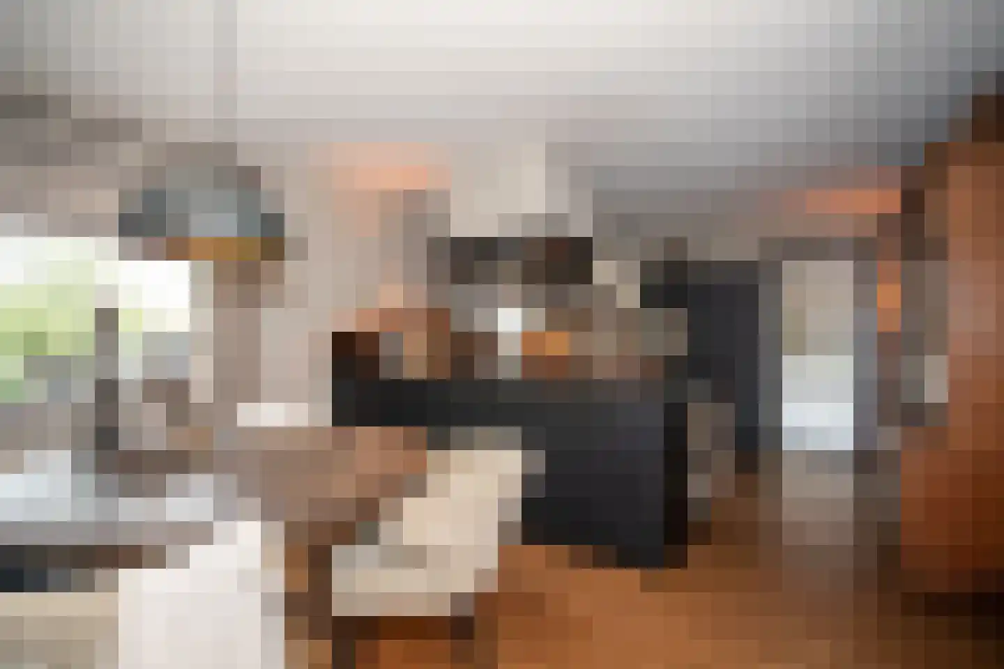 Woestendijk 4 Wierden thumbnail 31