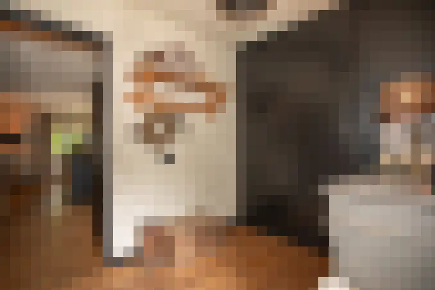 Woestendijk 4 Wierden thumbnail 36