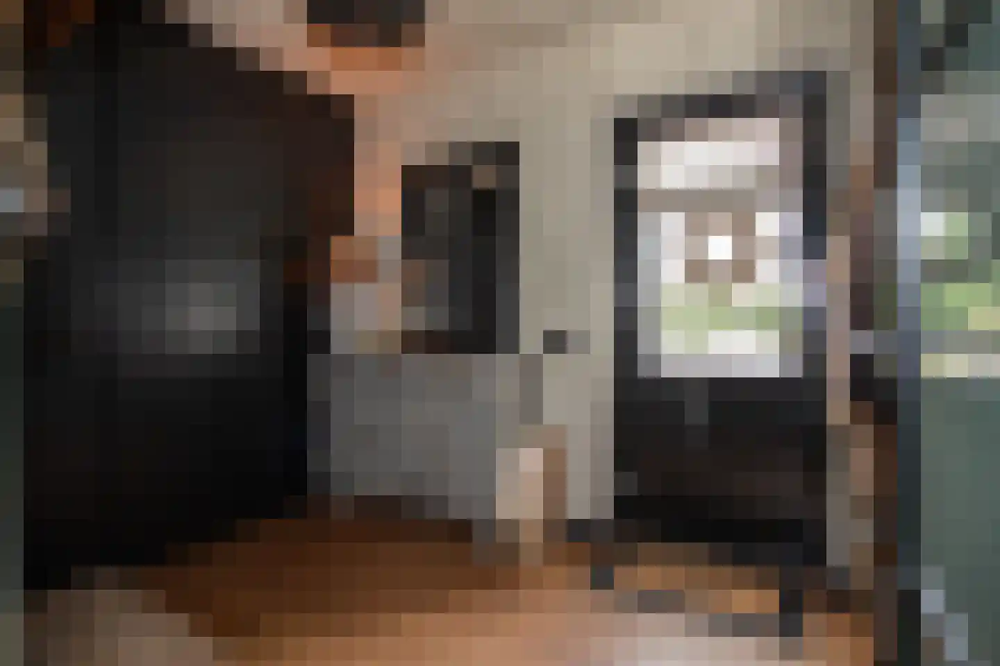 Woestendijk 4 Wierden thumbnail 37