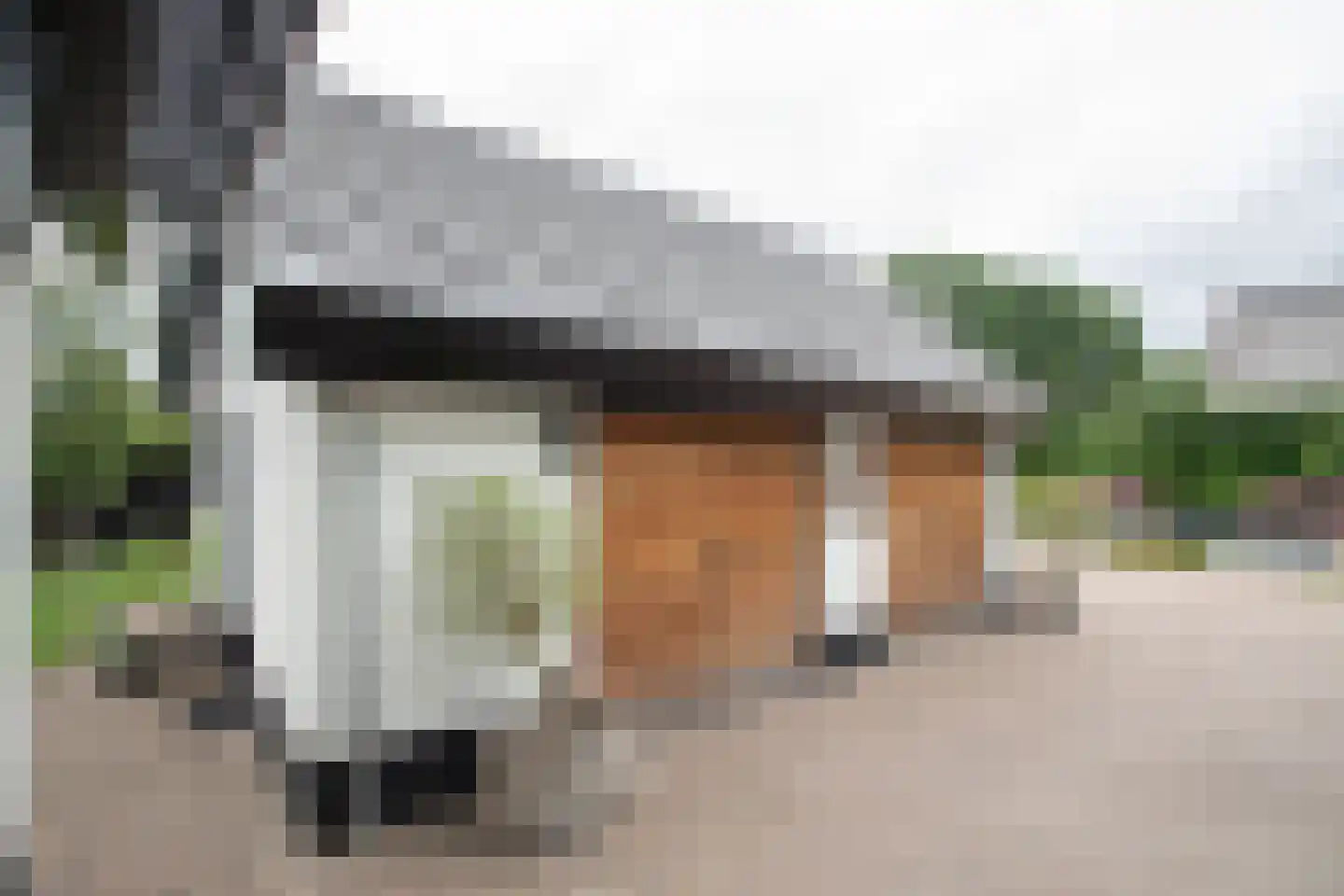 Woestendijk 4 Wierden thumbnail 39
