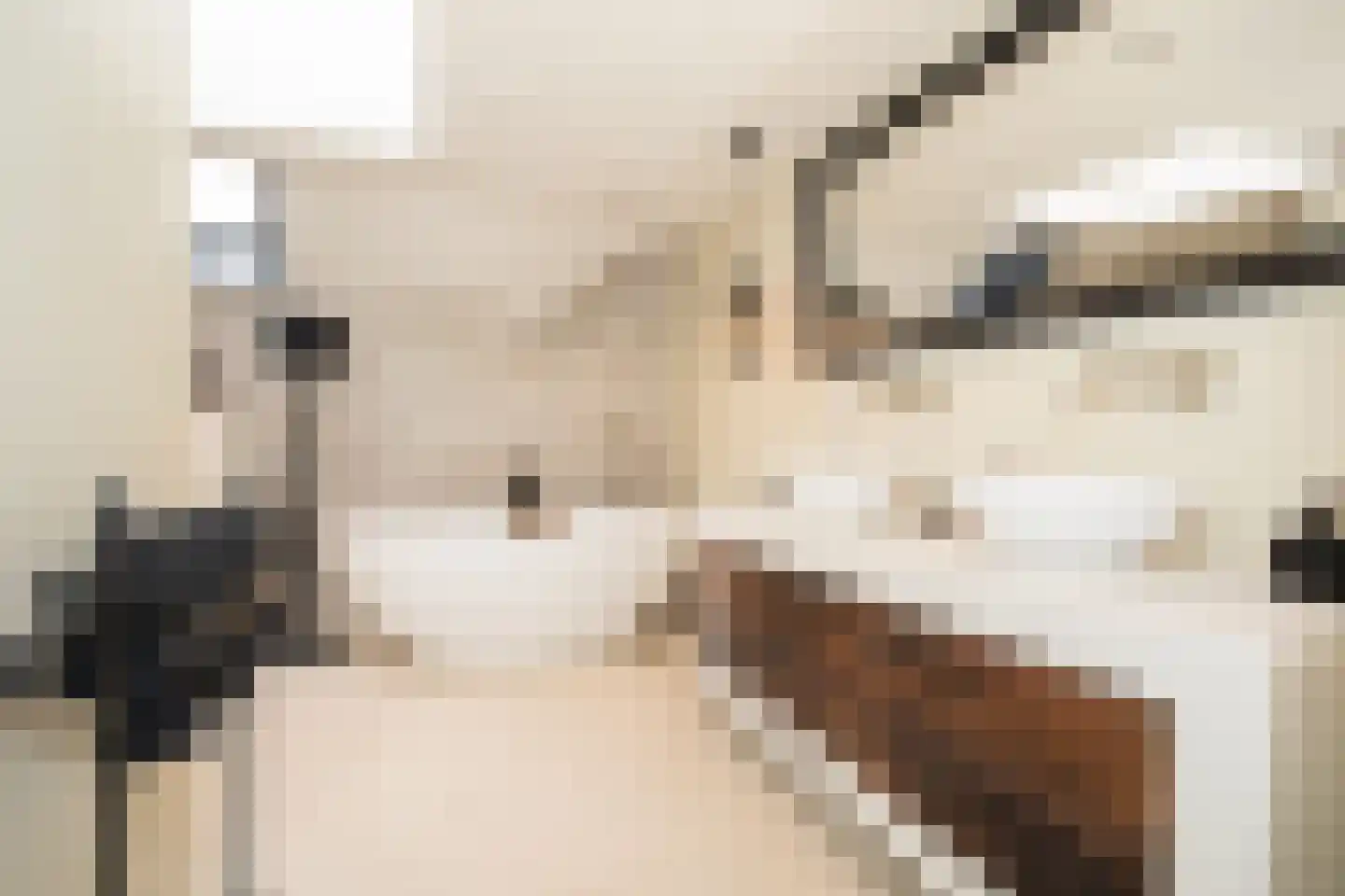 Woestendijk 4 Wierden thumbnail 4