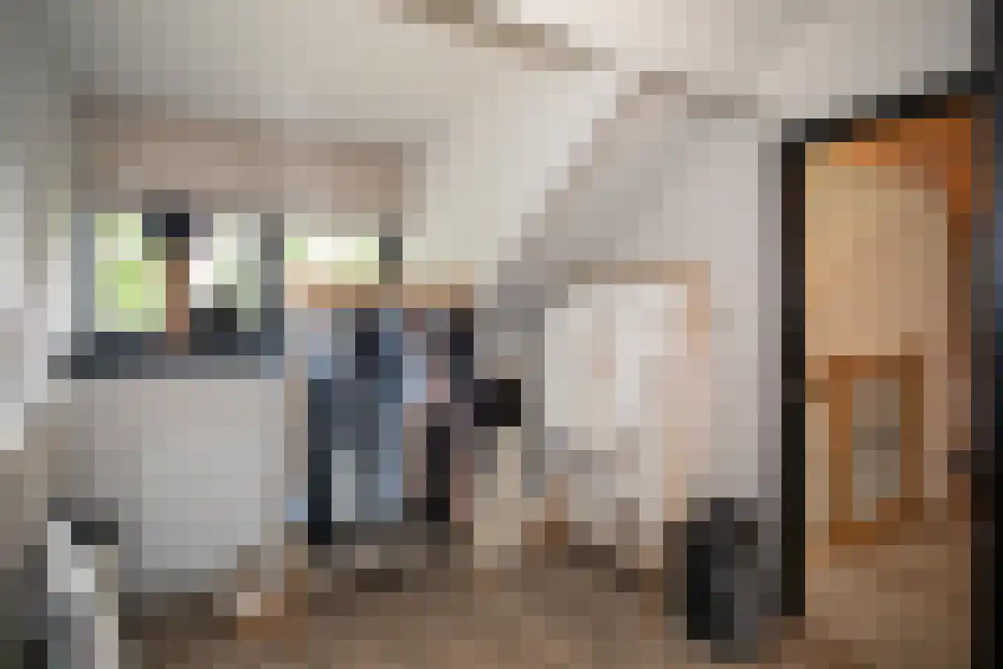 Woestendijk 4 Wierden thumbnail 47