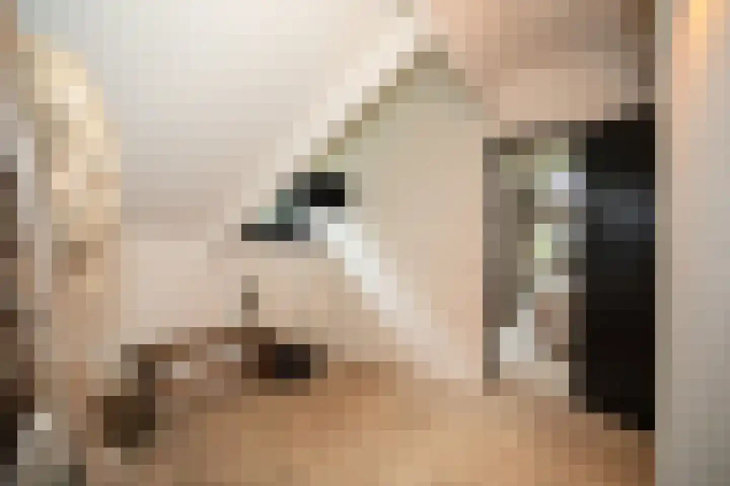 Woestendijk 4 Wierden thumbnail 48